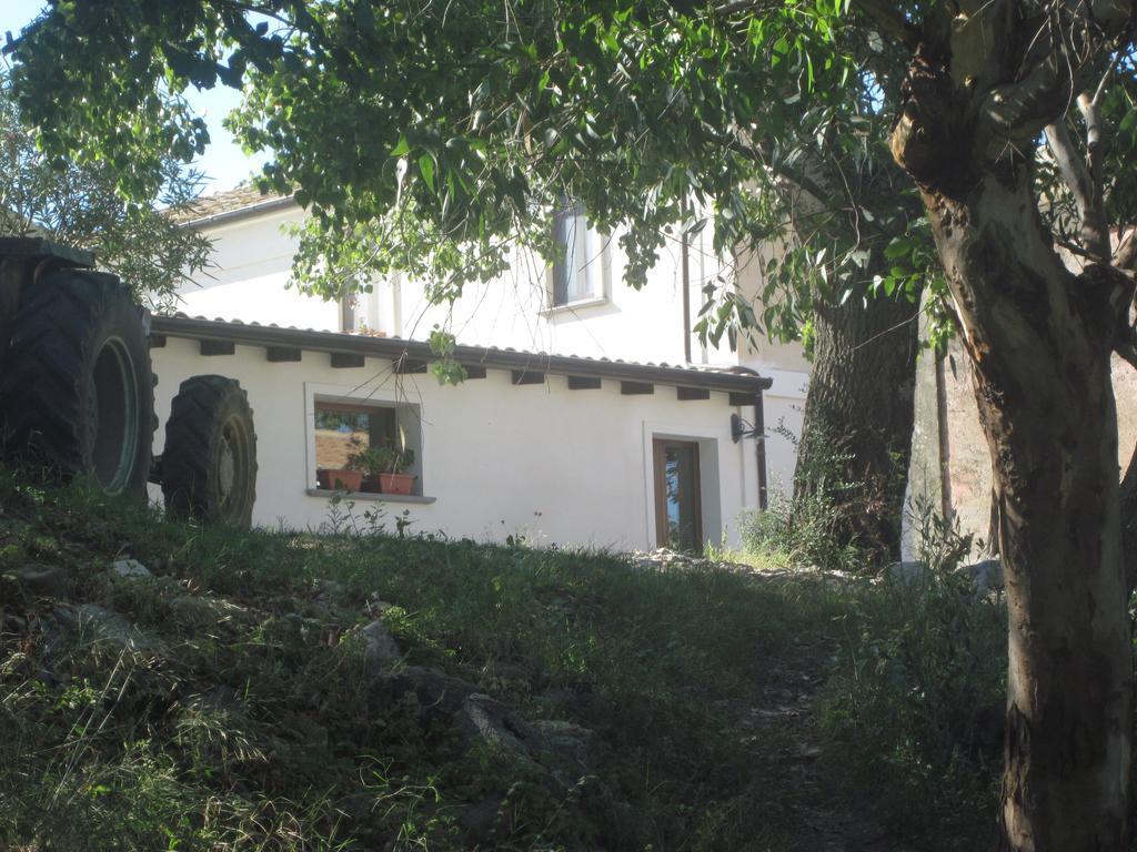 B&B Vaiana Maida Exterior photo