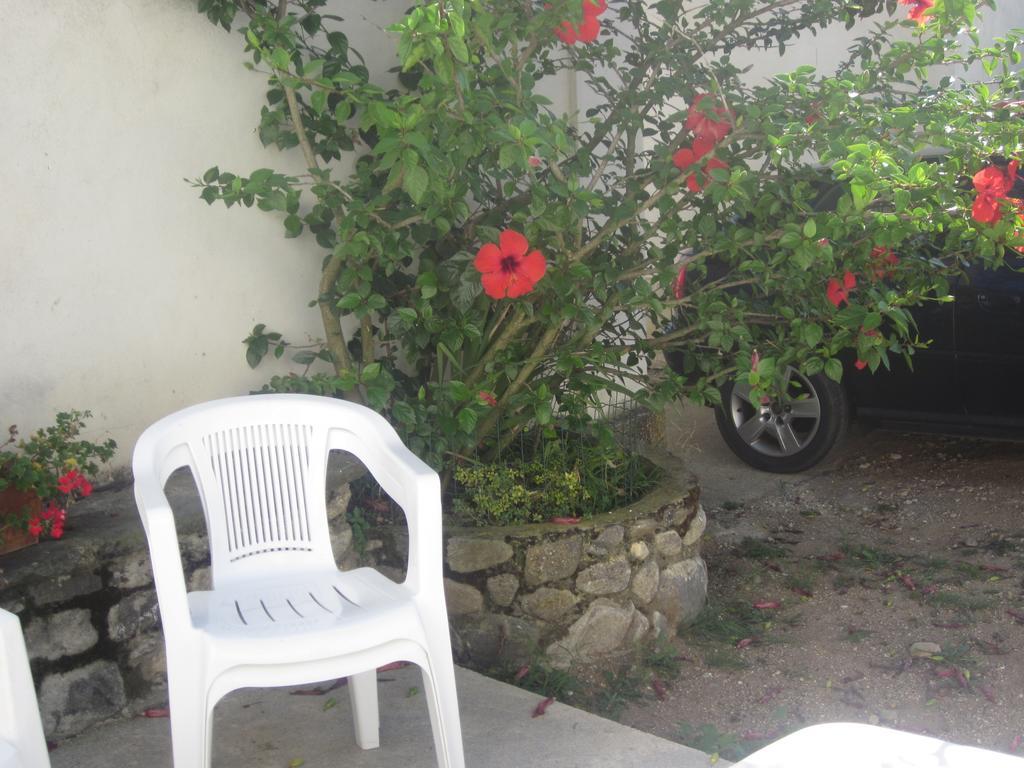 B&B Vaiana Maida Exterior photo